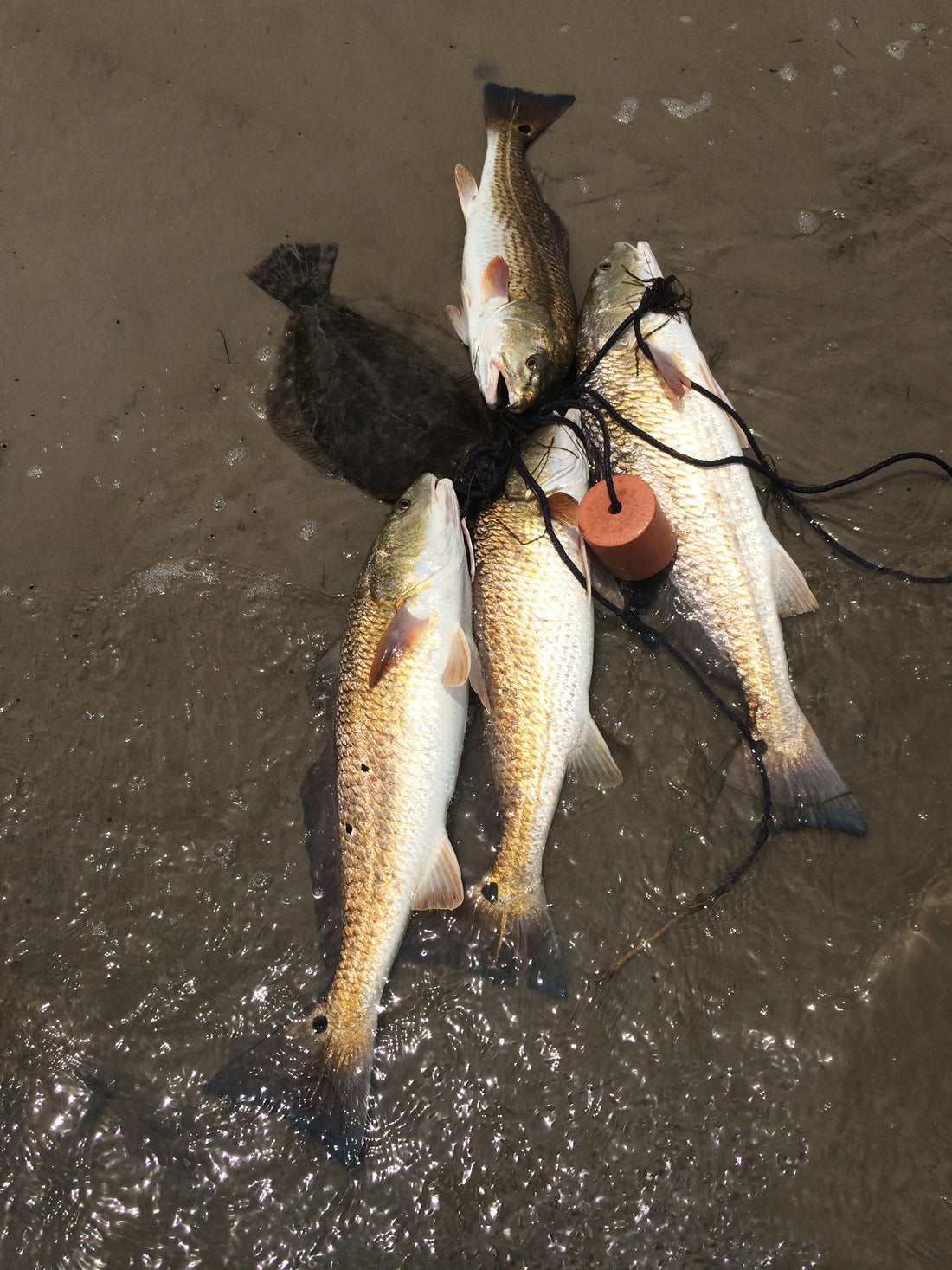 Top Water Lure Technique