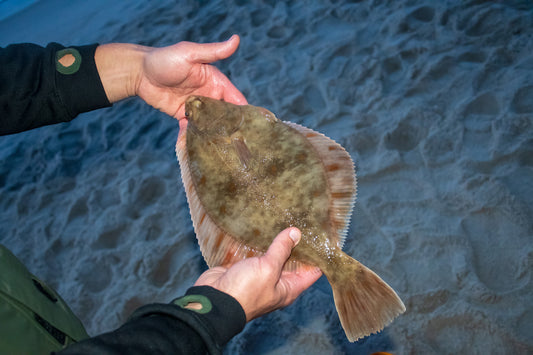 Flounder Fishing Technique